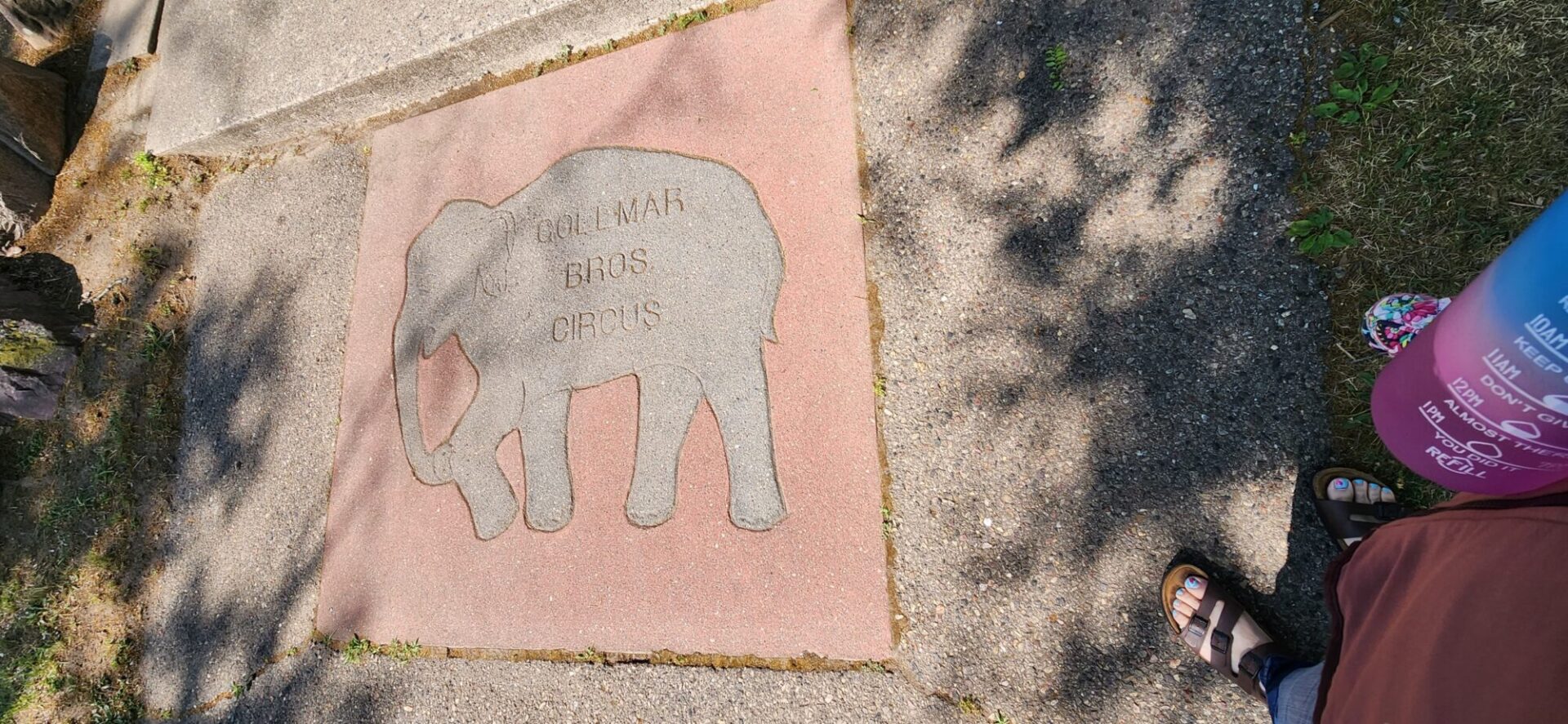 Elephant painting on circus floor